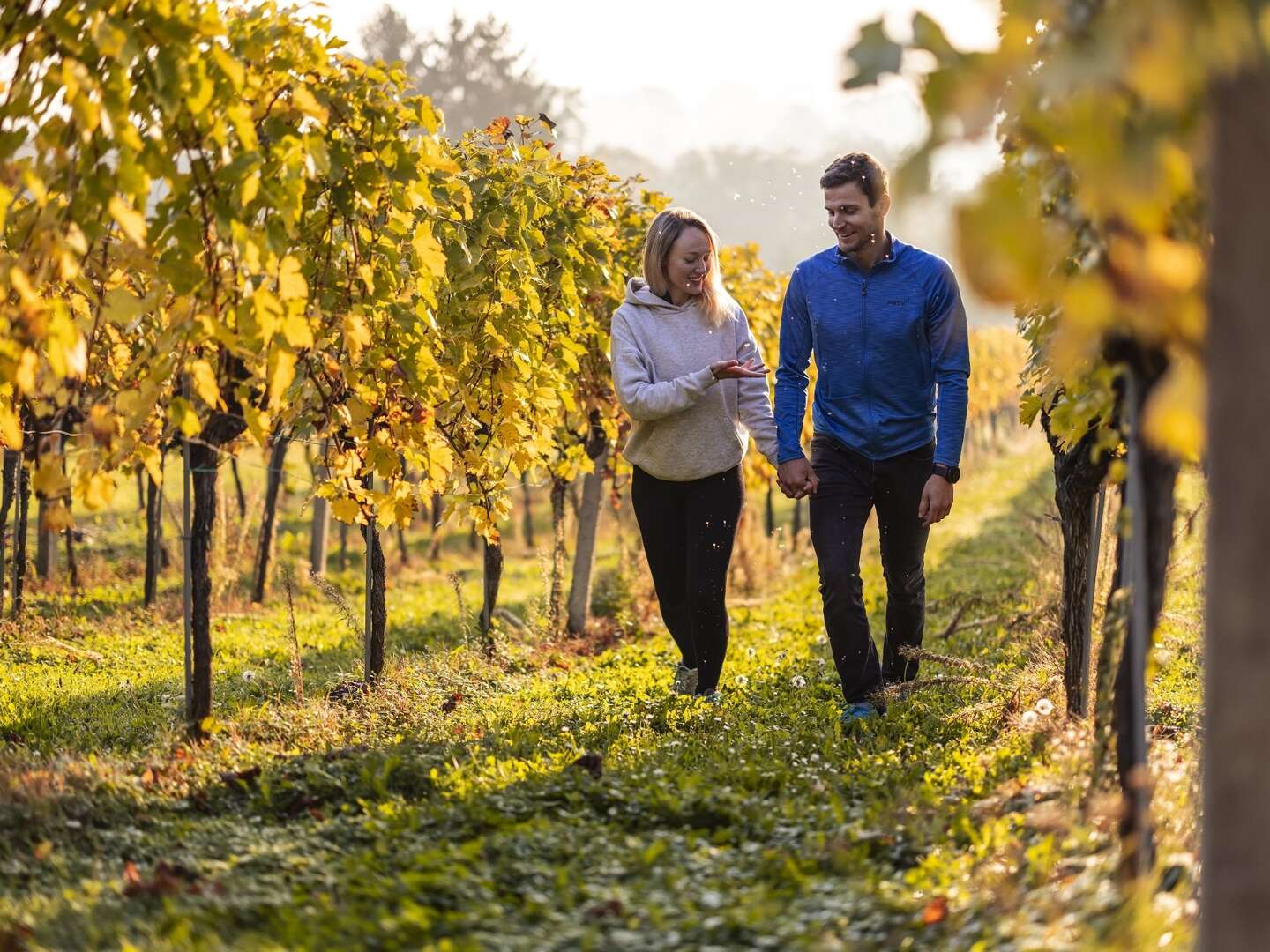 Urlaub in der Heimat des Uhudlers | 4 Nächte inkl. Vorteilswelt Burgenland Card