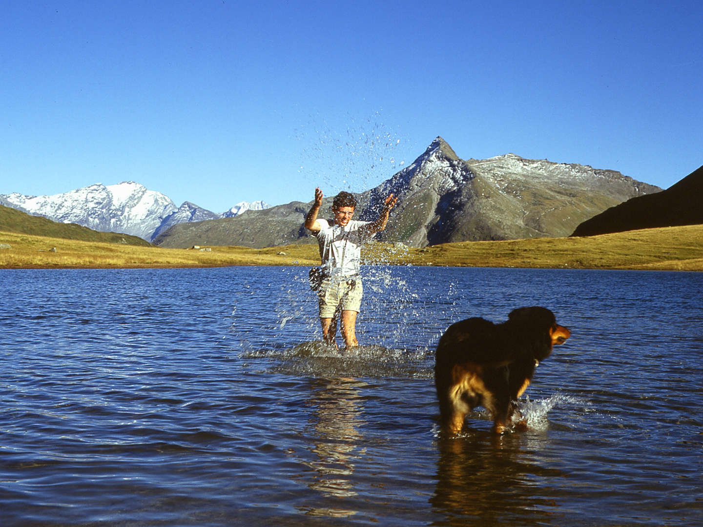 Urlaub mit Hund inkl. Dogsitting in den Gasteiner Bergen | 6 Nächte 