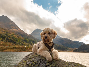 Wellness Pur im Montafon inkl. Anwendungen