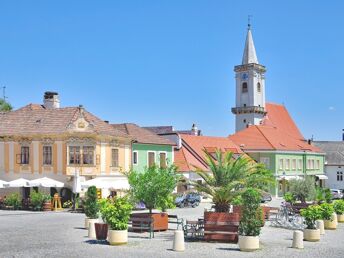 Familienurlaub inkl. Besuch im Family Park St. Margarethen im Burgenland | 3 Nächte