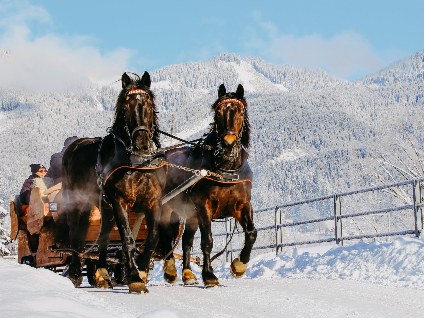 Winterzauber in Gosau inkl. romantischer Pferdeschlittenfahrt