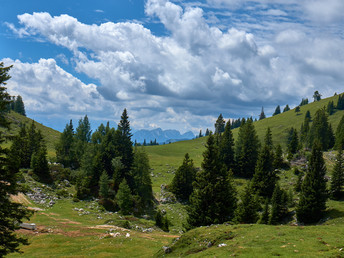 Natur, Wellness & Herbst im Naturpark Dobratsch inkl. Massage | 4 Nächte