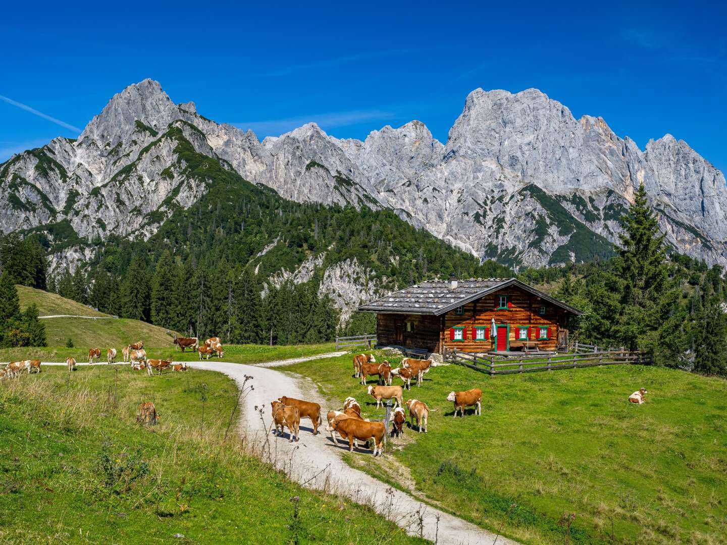 Sommerurlaub in St. Michael im Lungau - Genuss in den Bergen | 5 Nächte