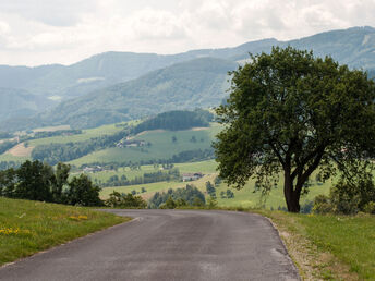 Freundinnentage inkl. Private SPA und Sektfrühstück 