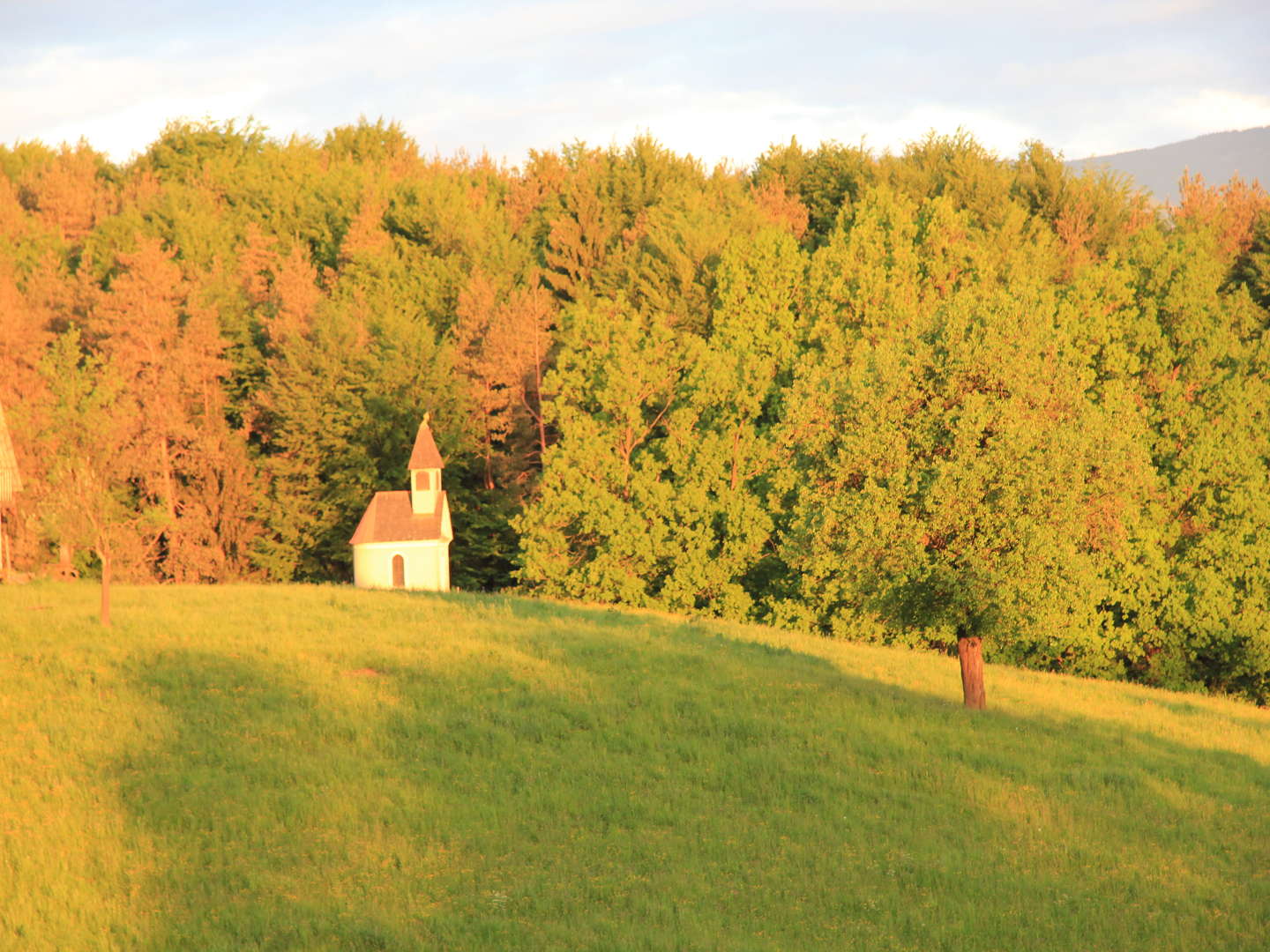 Erholung pur: Steirisches Schilcherland inkl. Halbpension | 7 Tage