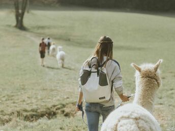 Wandern mit Erlebnisfaktor! | Geführte Alpakawanderung durch das Grazer Schöcklland | 4 Tage