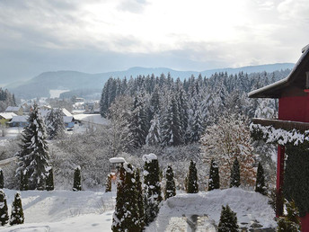 Der besondere Wintergenuss: Kurzurlaub in Kärnten | 3 Nächte