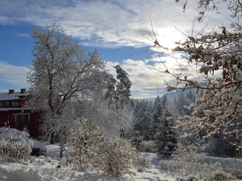 Silvester mit Ihrem Vierbeiner in Kärnten inkl. Gala  | 7 Nächte  