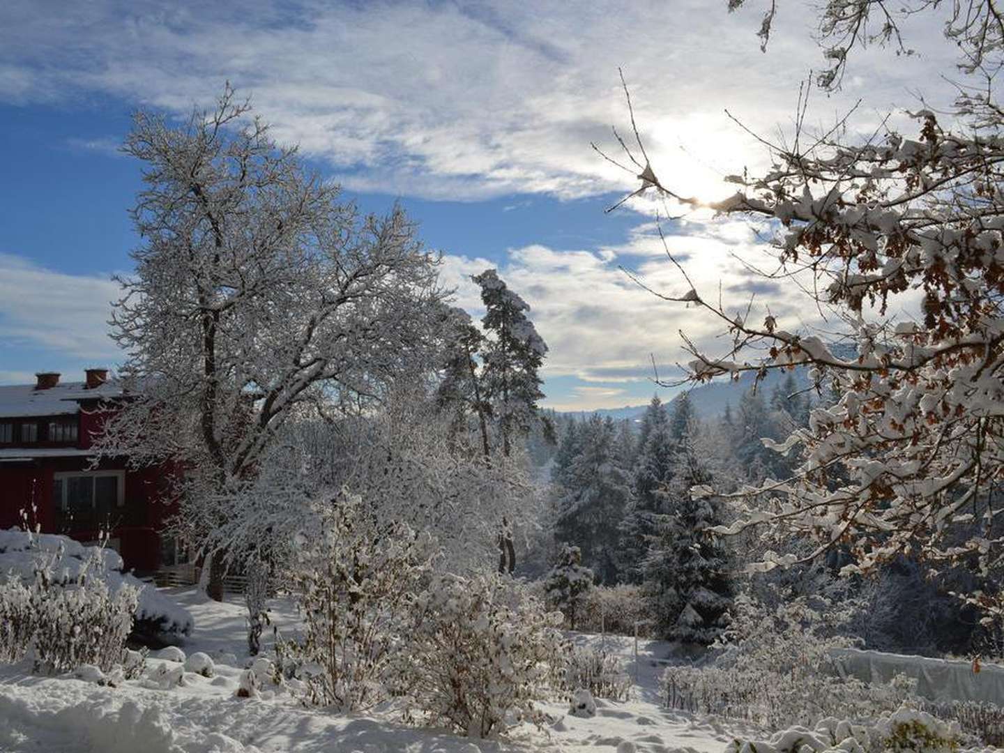 Der besondere Wintergenuss Kurzurlaub in Kärnten | 2 Nächte