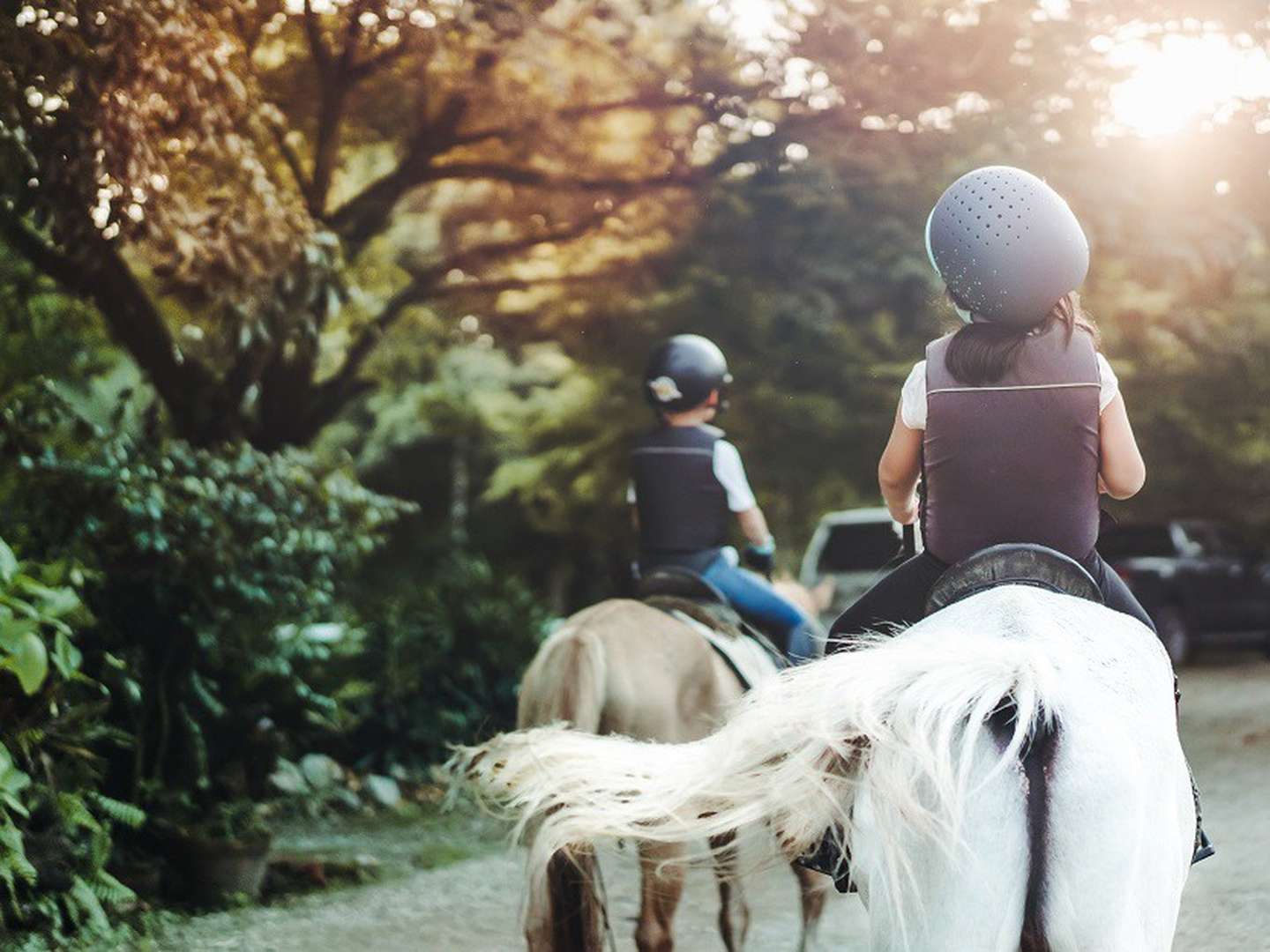 Kurzurlaub im Salzburger Land inkl. Frühstück | 6 Nächte