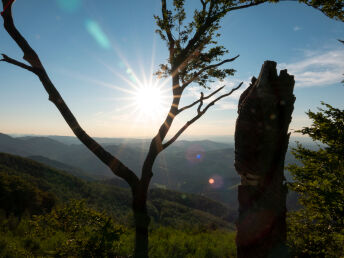 Ankommen & Wohlfühlen - Kurzurlaub im Wienerwald mit 