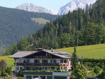 Erholungsurlaub im Salzburger Land - Wald, Wiese & Natur | 4 Nächte