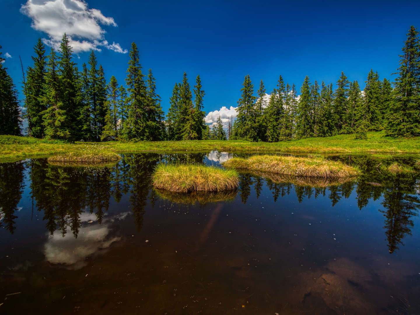 Erholungsurlaub im Salzburger Land - Wald, Wiese & Natur| 2 Nächte