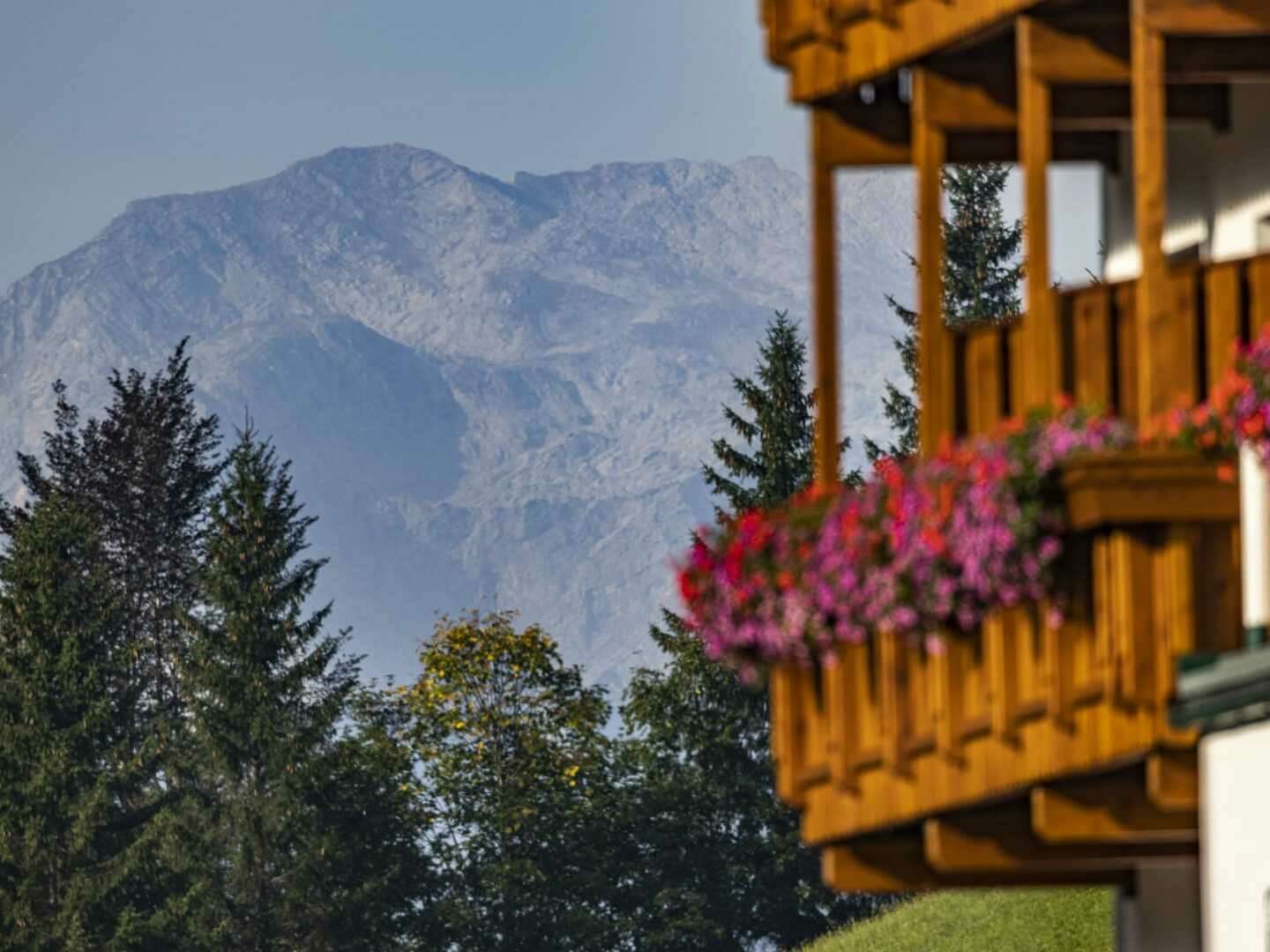 Genussurlaub im Herzen der Ybbstaler Alpen inkl. Wunder Card | 5 Nächte