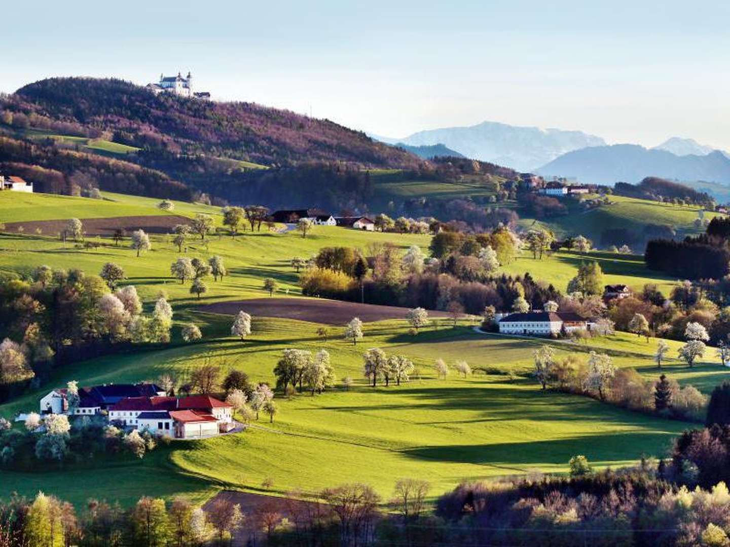 Sommerurlaub Mostviertel mit Wellnessgenuss im Solebad | 3 Nächte