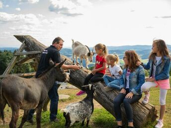 Winterzauber im Haagerhof  mit Frühstück  7 Nächte  Ferien 