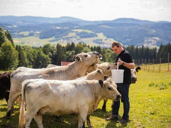 Winterzauber im Haagerhof  mit Frühstück  6 Nächte   