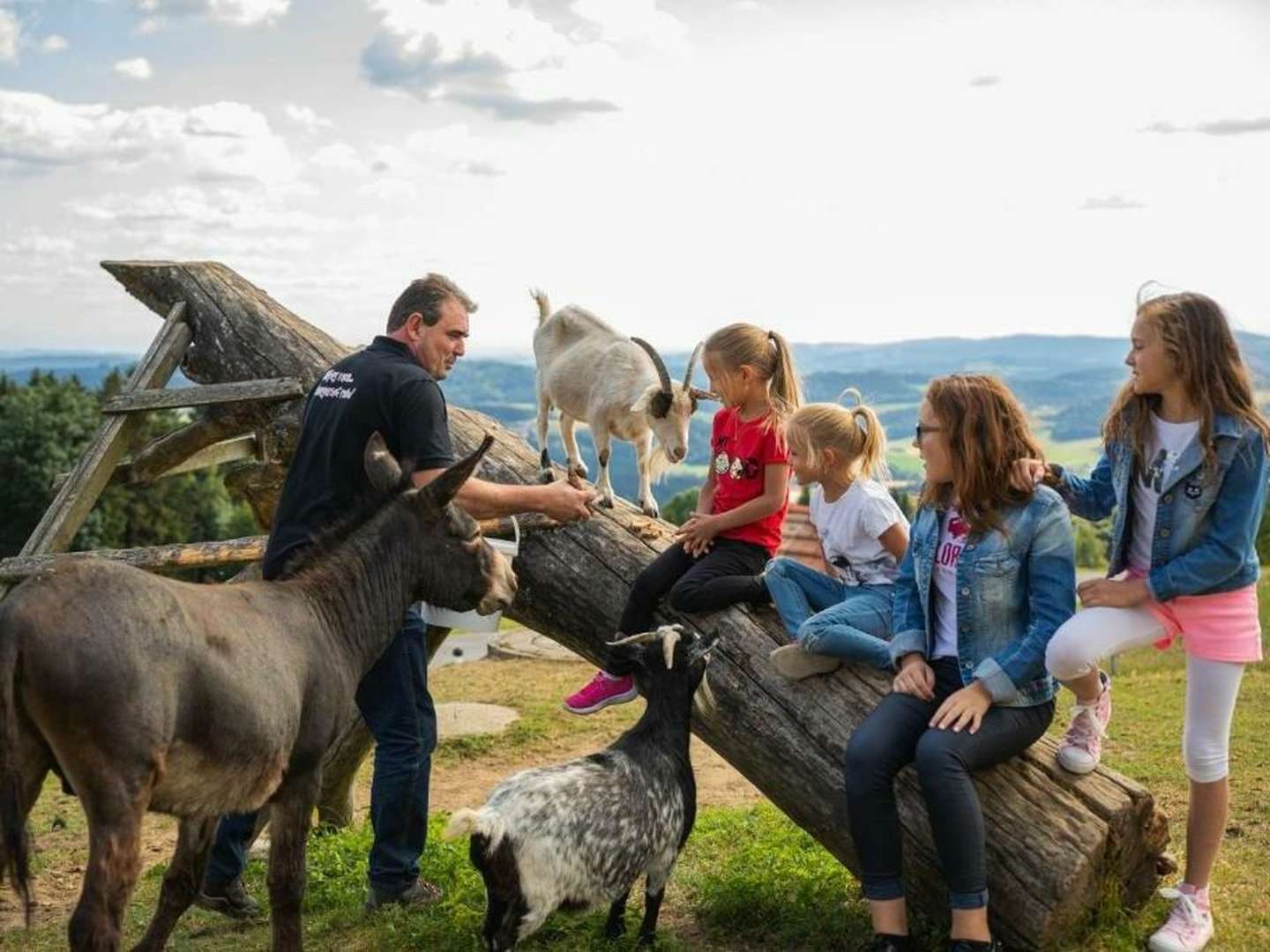 Auszeit im Böhmerwald | 2 Nächte