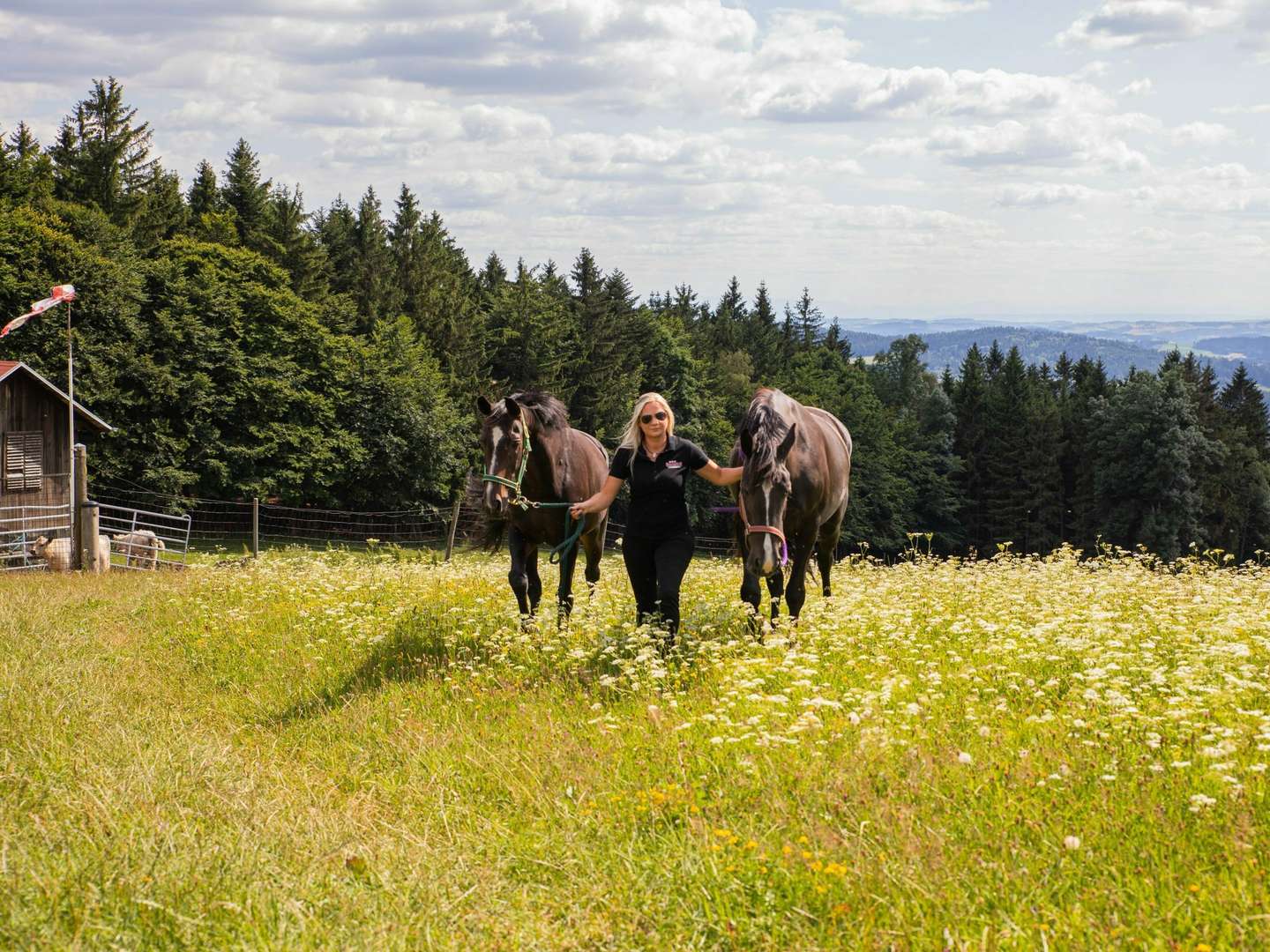 Ostern  Landhotel Haagerhof 6 Nächte   