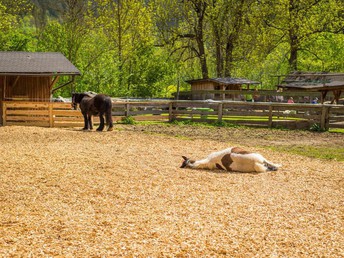 Familienurlaub im Kinderhotel Appelhof | 5 Nächte 