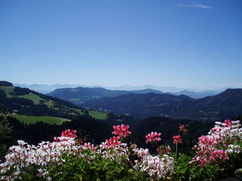 Erholungsurlaub oder Abenteuerurlaub mit Panoramablick Alleine, zu Zweit oder mit der #Familie 