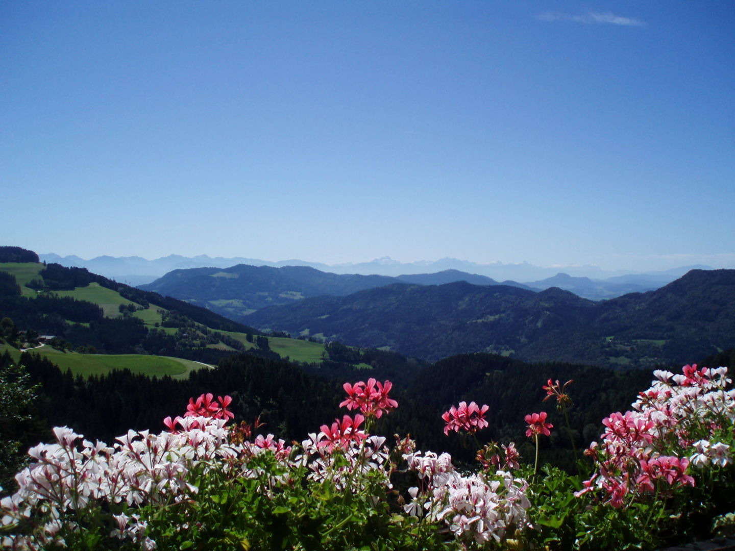 Erholungsurlaub oder Abenteuerurlaub mit Panoramablick Alleine, zu Zweit oder mit der #Familie 