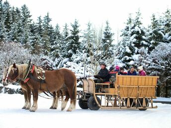 Erlebnisurlaub in der Steiermark  