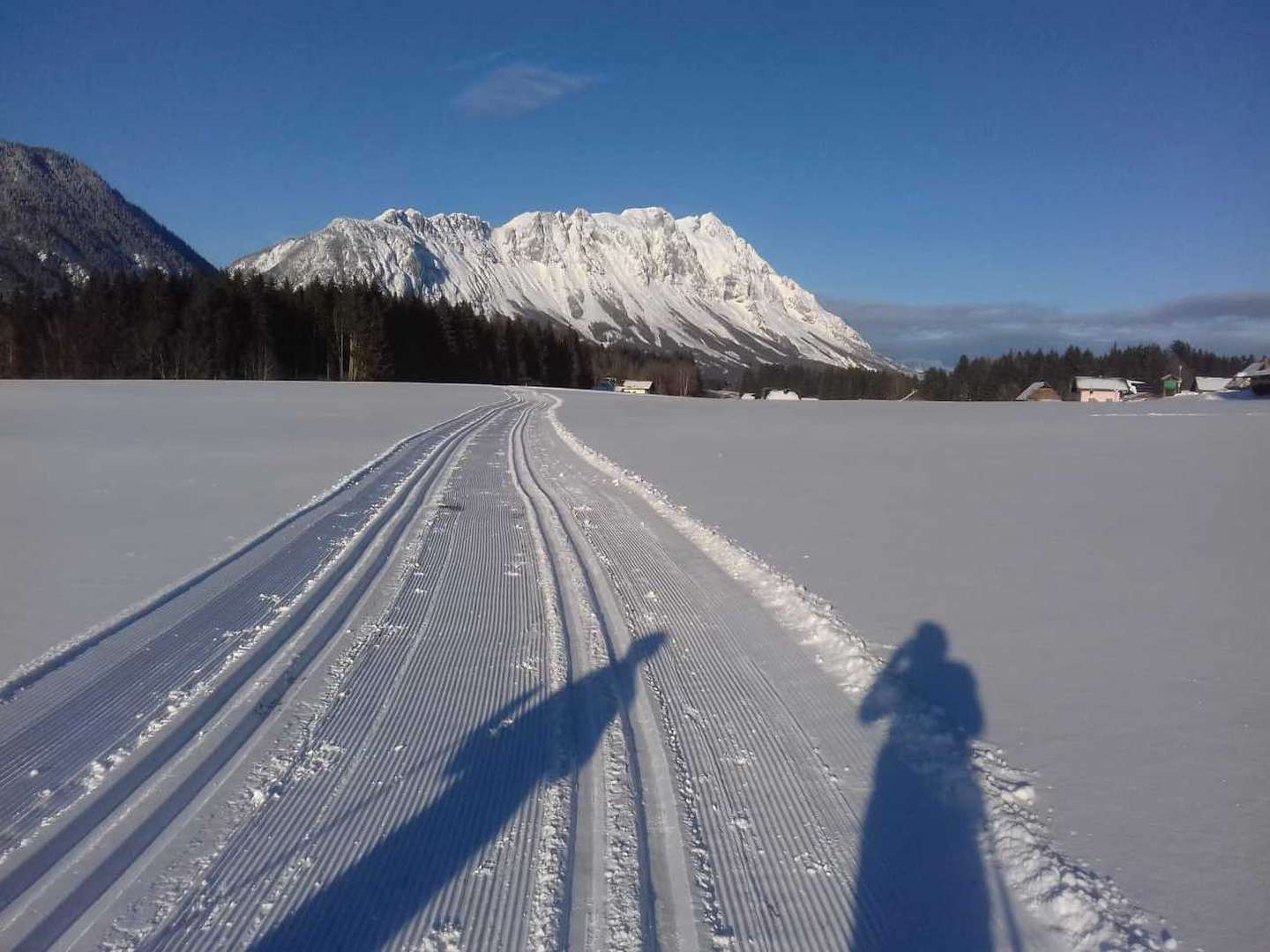 Waldbaden in der steirischen Region Schladming-Dachstein inkl. Themenmenü & Sommercard | 4 Nächte