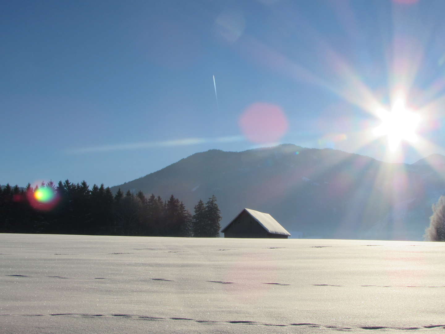 Waldbaden in der steirischen Region Schladming-Dachstein inkl. Themenmenü & Sommercard | 4 Nächte