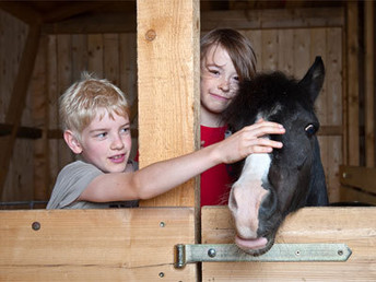 Spiel, Spaß & Landerlebnis – Familienurlaub im JUFA Hotel Tieschen I 3 Nächte