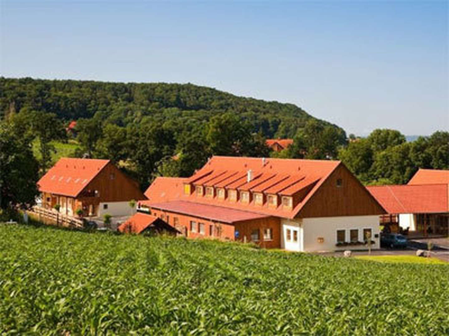 Genuss trifft Natur – Wandern & Verkosten in den steirischen Weinbergen I 3 Nächte