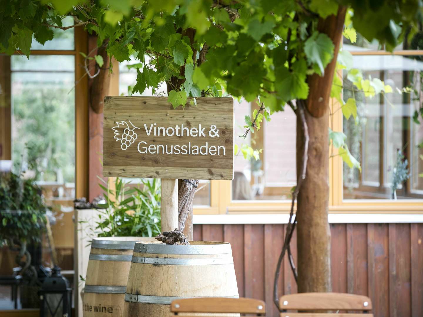 Genuss trifft Natur – Wandern & Verkosten in den steirischen Weinbergen I 3 Nächte