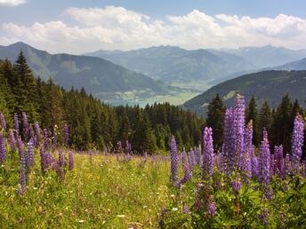 Wanderurlaub - auf die Berge, fertig, los nach Zell am See | 4 Nächte