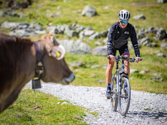 4=3 Wanderhit  in Ischgl inkl. Nutzung Bergbahnen 