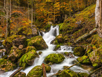 Goldener Herbst und Wildzeit im Naturhotel Schloss Kassegg inkl. Wildmenü & Eintritt Stift Admont