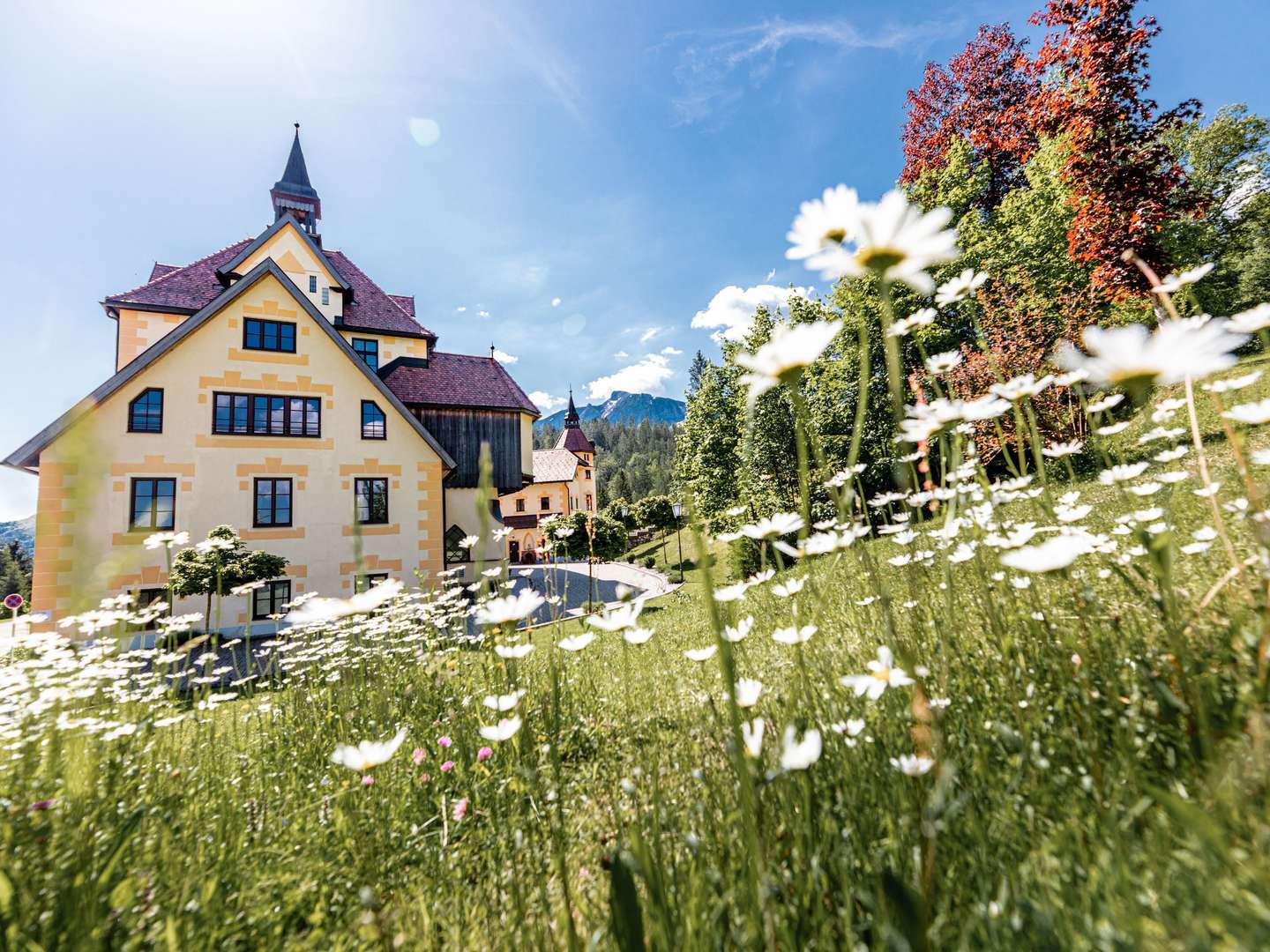 Schneeschuhgeflüster im Naturhotel Schloss Kassegg - erkunden Sie die wunderschöne Landschaft 