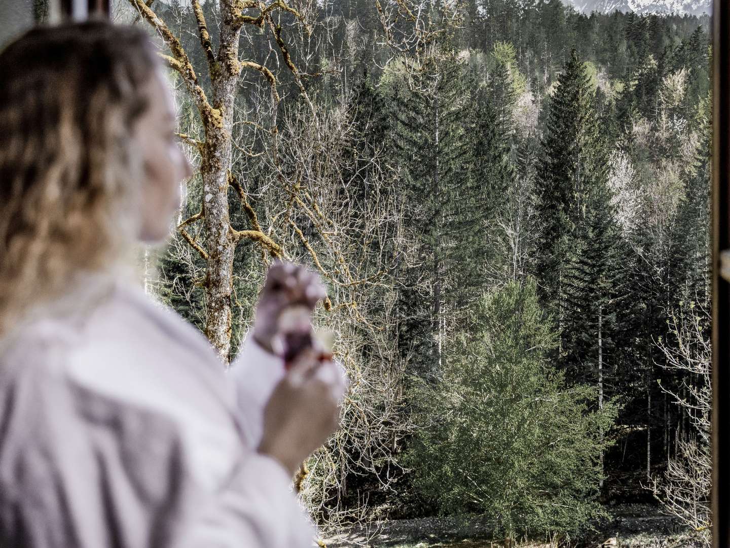 Schneeschuhgeflüster im Naturhotel Schloss Kassegg - erkunden Sie die wunderschöne Landschaft 