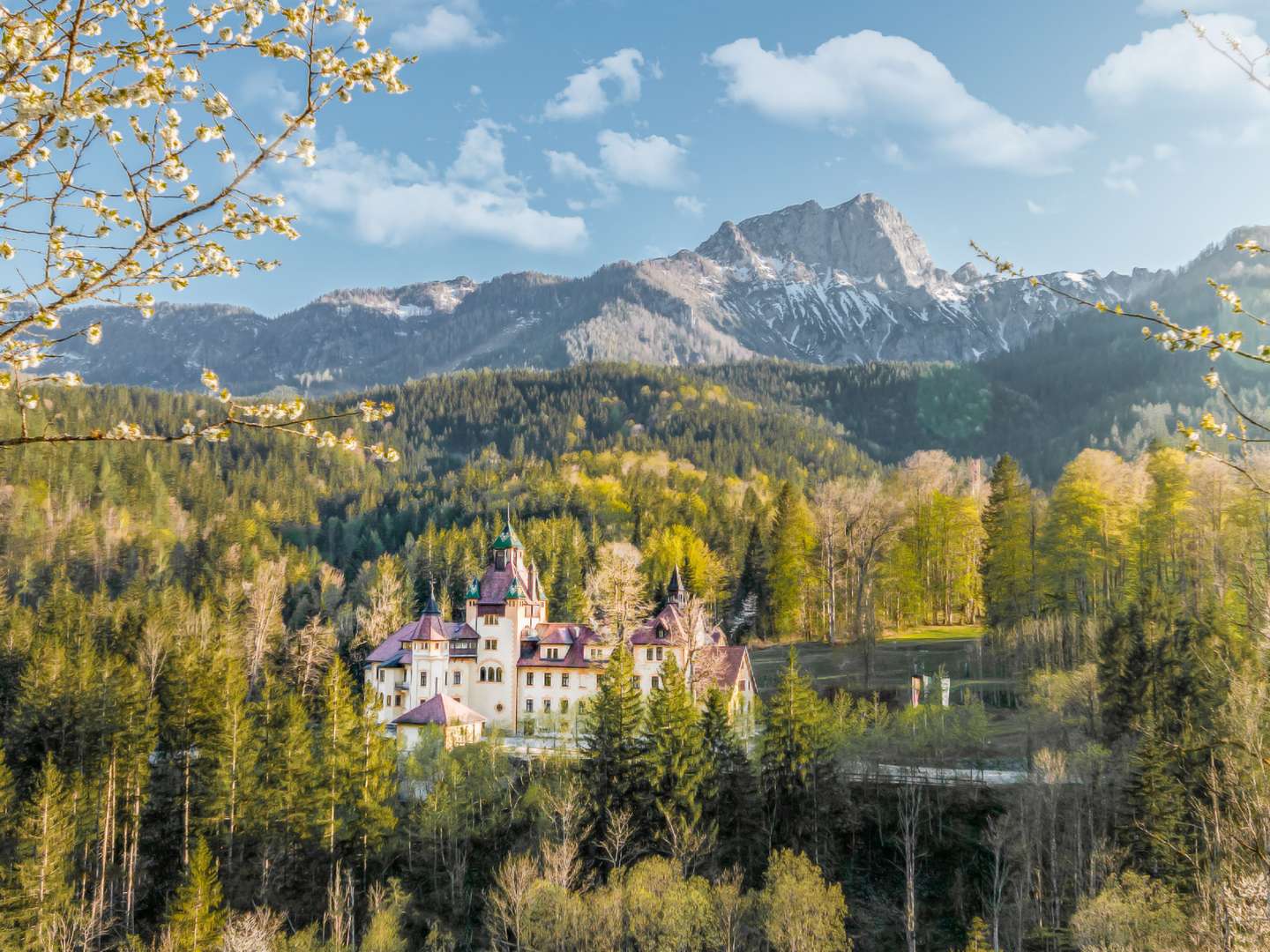 Goldener Herbst und Wildzeit im Naturhotel Schloss Kassegg inkl. Wildmenü & Eintritt Stift Admont