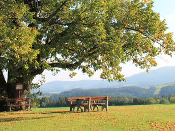 3+1 Spezial im Joglland - Herzlich-Gastlich-Steirisch