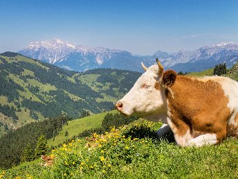 Aktivurlaub in Golling - Wandern im Salzburger Land | 2 Nächte