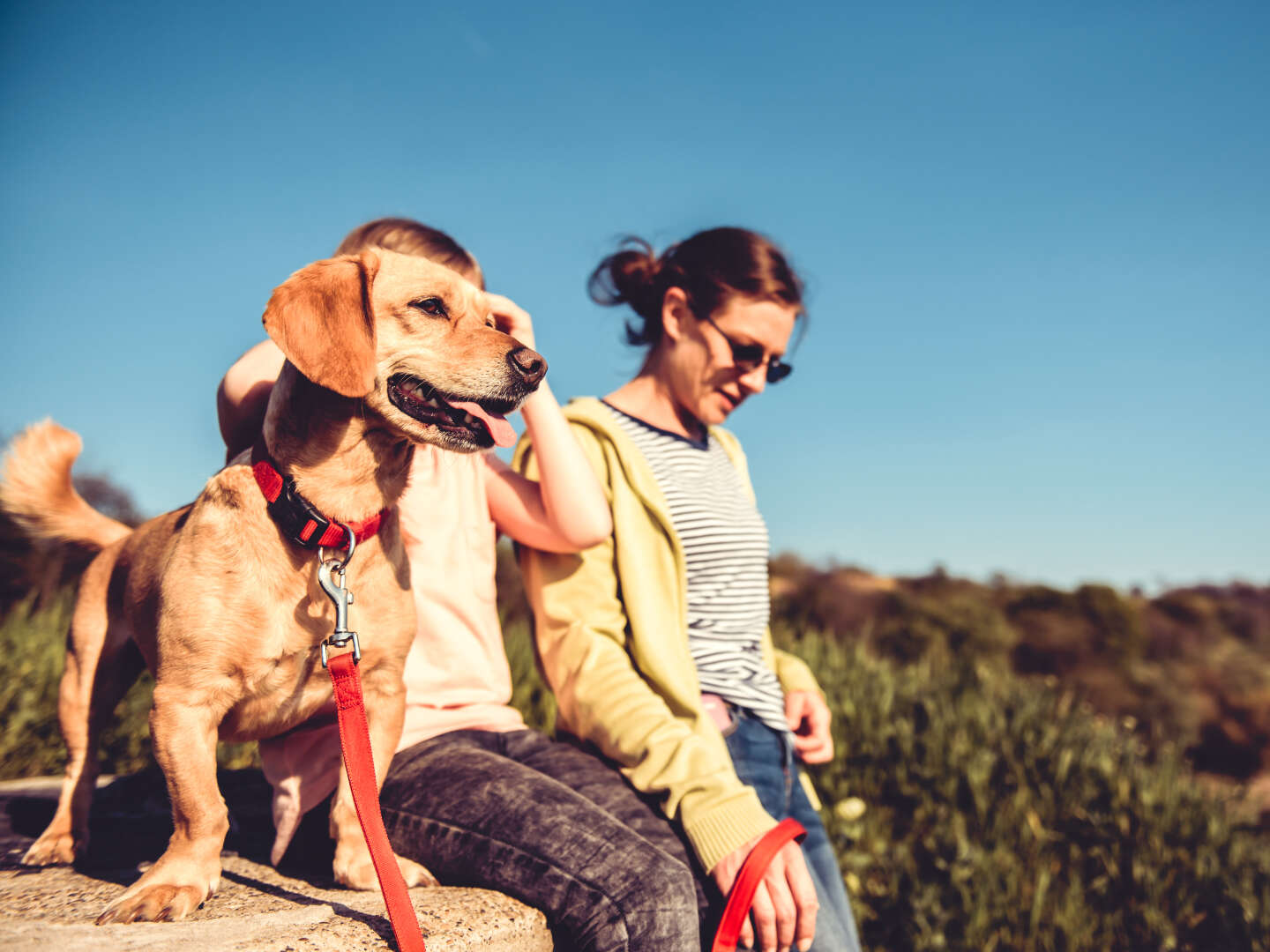 Urlaub mit Hund im Nationalpark Hohe Tauern Kärnten | 4 Nächte