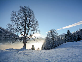 Winterurlaub im Nationalpark Hohe Tauern in Kärnten | 4 Nächte