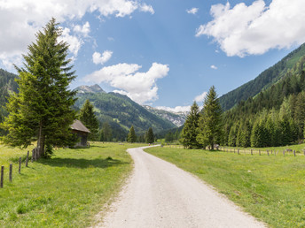 All inclusive light Urlaub inmitten der Salzburger Berge mit Ihrem Vierbeiner | 5 Nächte 