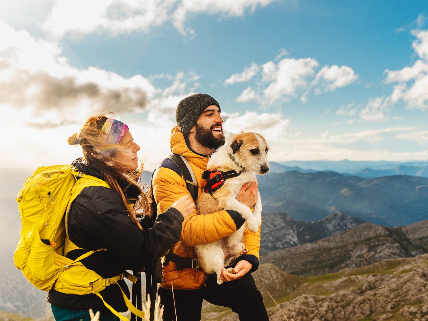 Pfoten voraus! Urlaub mit Ihrem Hund zwischen den Salzburger Bergen | 4 Nächte