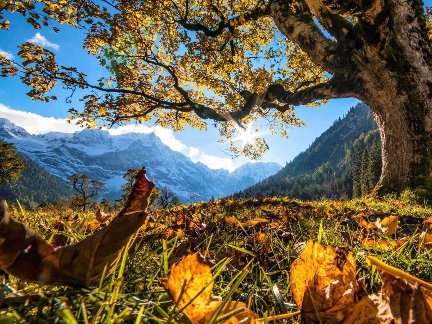 E-Biken im Karwendel inkl. Wahlmenü 