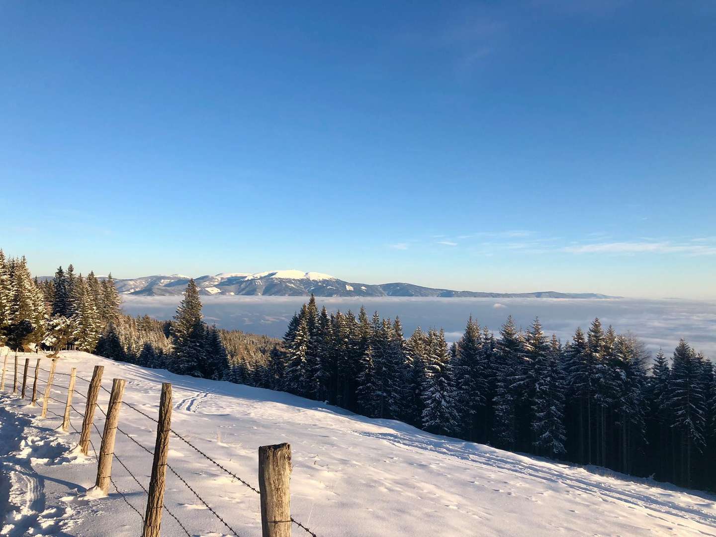 Erholungsurlaub - Auszeit mit Privatstrand am Klopeiner See | 3 Nächte