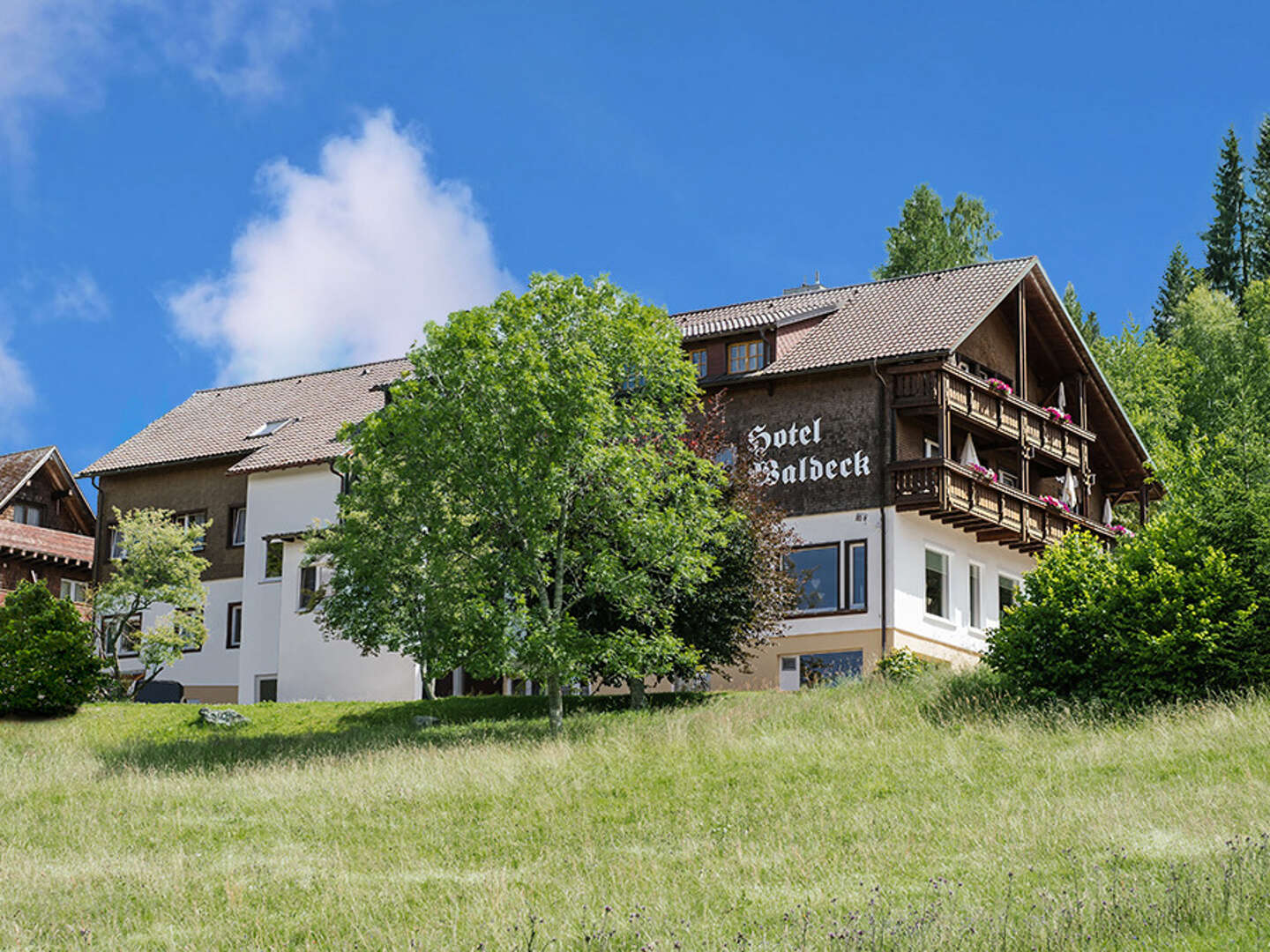 Schlemmerwochenende im Schwarzwald zwischen Schluchsee & Titisee