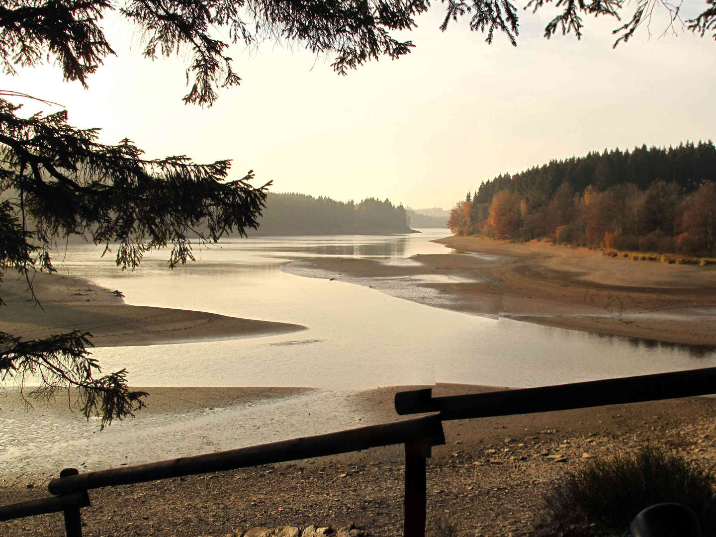 Natur Wochenende am Bütgenbacher See | 4 Tage 