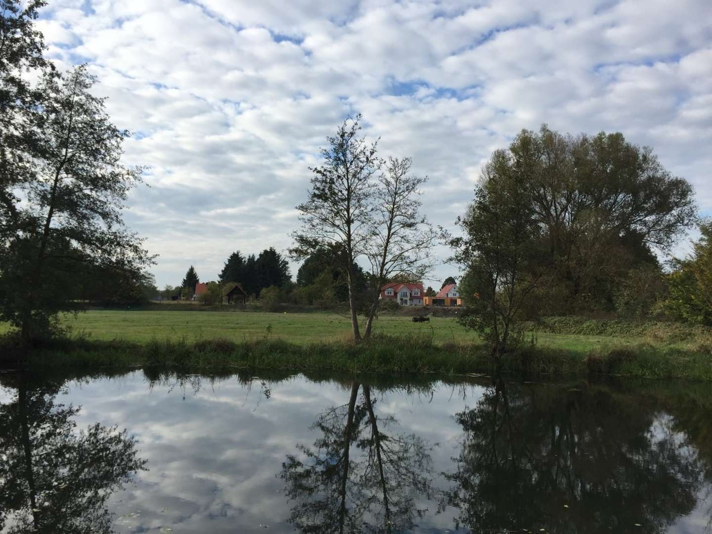 Ruhiger Wochenausklang zum Krafttanken an den Spreenwiesen