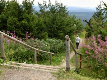 Biker Tour im Erzgebirge